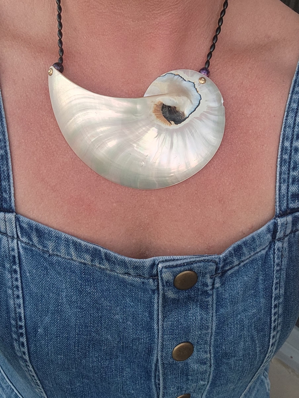 Nautilus Shell Pendant Necklace in White & Brown